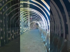 IP68 زیر آب Neon Flex 24V مواد TPU نوار LED انعطاف پذیر برای استفاده از استخر شنا