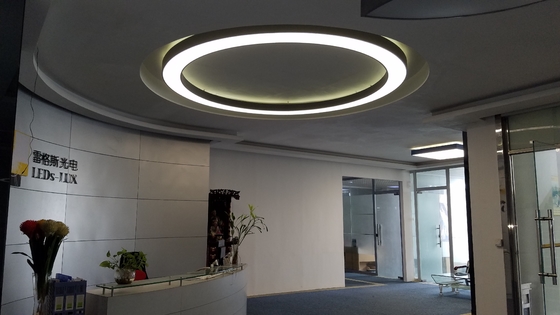 Customized Led Ring Pendant Light CR3600 Circle Hanging Ceiling Light
